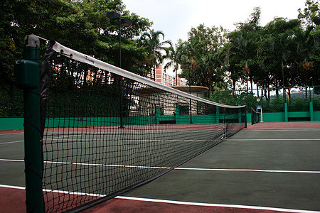 网球法院运动树木晴天背景图片