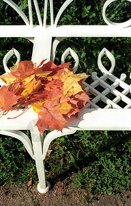 秋叶树叶在长椅上图片