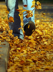 步行走路靴子黄色叶子树叶鞋类金子跑步反射悲伤牛仔裤图片