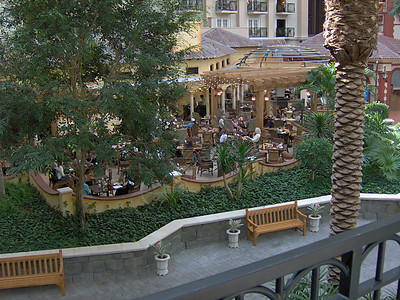 热带热带餐馆和咖啡馆背景图片