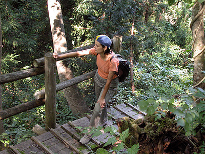 在森林中徒步旅行树叶天桥青少年背包木头远足勘探森林阳光闲暇图片