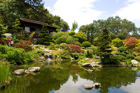 日本花园晴天竹子绿化怀旧反射园林池塘公园植物绿色图片