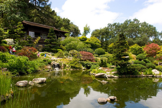 日本花园晴天竹子绿化怀旧反射园林池塘公园植物绿色图片