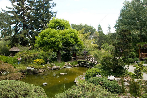 日本花园绿色竹子植物花园树林公园晴天冥想池塘绿化图片