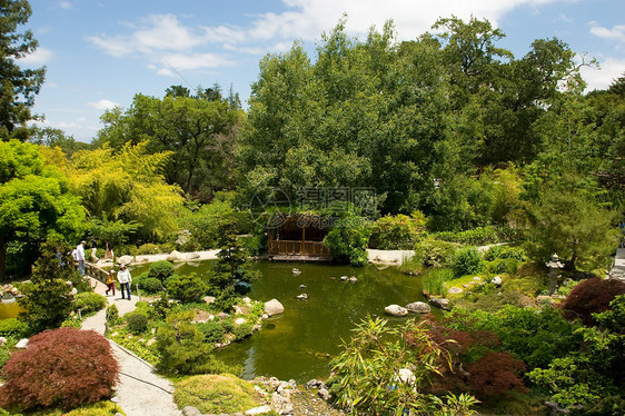 日本花园植物花园反射冥想绿色绿化怀旧竹子晴天池塘图片
