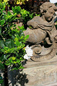 挂在雕像旁边的鲜花祝福儿子崇拜念珠辉煌上帝植物避难所雕塑灵魂图片