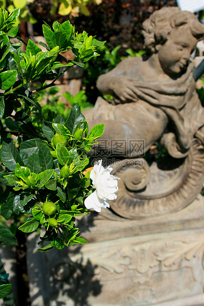 挂在雕像旁边的鲜花祝福儿子崇拜念珠辉煌上帝植物避难所雕塑灵魂图片