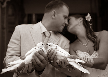 快乐的新婚夫妇鸟类女性结婚男人婚姻白色美甲婚礼鸽子项链图片