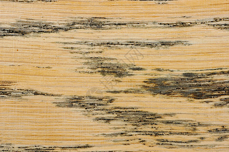纹质木板木纹木头单板粮食谷物宏观图片