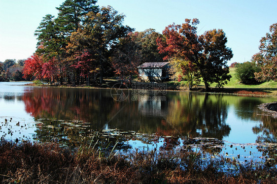 水的反射自然公园环境绿色红色池塘天空叶子图片