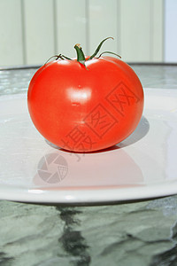 红番茄制品资源陶瓷盘子沙拉白色收成蔬菜红色食物图片