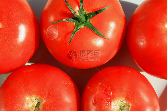 红番茄收成制品沙拉盘子陶瓷蔬菜拼盘红色白色食物图片