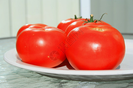 红番茄盘子制品陶瓷白色资源食物收成蔬菜拼盘沙拉图片