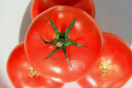红番茄白色拼盘盘子收成制品沙拉红色食物陶瓷资源图片