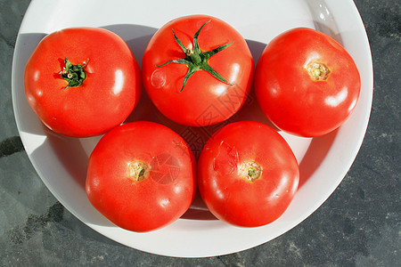 红番茄收成资源白色沙拉拼盘陶瓷红色盘子食物蔬菜图片