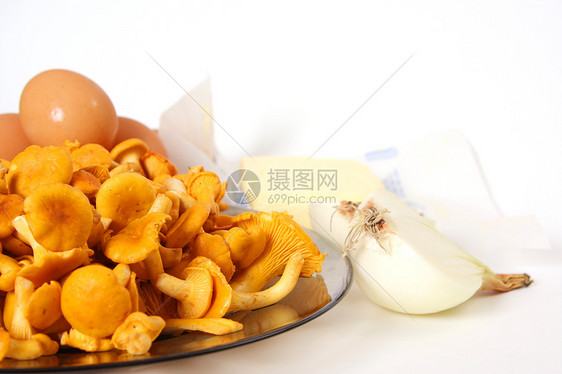 西巴里乌斯树叶黄油菌类洋葱黄色产品图片
