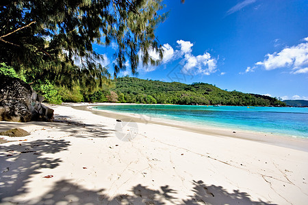 海滩沙滩海景晴天享受天空蓝色天堂地平线棕榈旅游海岸图片