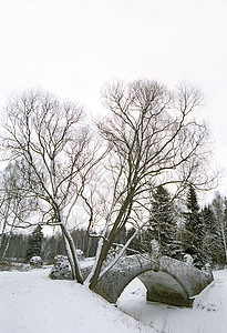 冬季公园旧桥图片