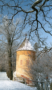 塔和冬树图片