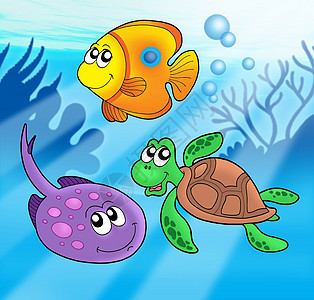 可爱的海洋动物 3图片