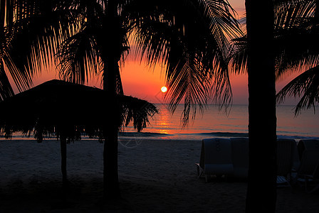 热带热带日落红色蒂基棕榈小屋天空橙子海滩海洋图片