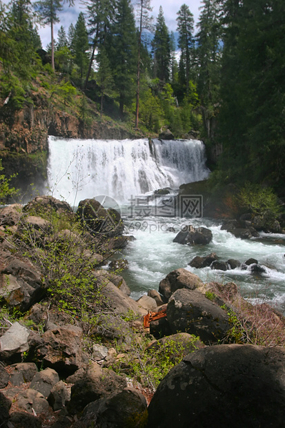 沙斯塔湖岩礁水晶树木娱乐森林享受岩石季节水库假期松树图片