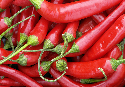 热辣辣椒食物蔬菜香料红色胡椒水果寒冷图片