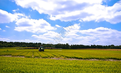 绿绿色农耕农田植物牧场乡村环境风景蓝色场地农村草地拖拉机图片