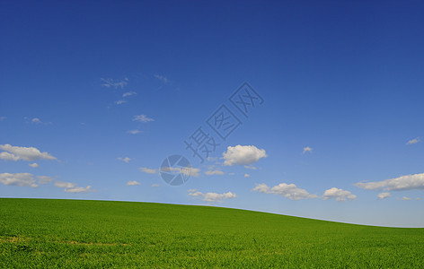 字段和天空草地场地农田绿色蓝色图片