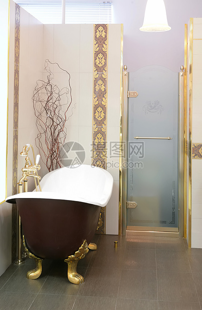豪华的厕所合金反射技术员房间房子镜子隐私木头淋浴照明图片