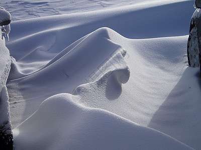 雪飘雪背景图片