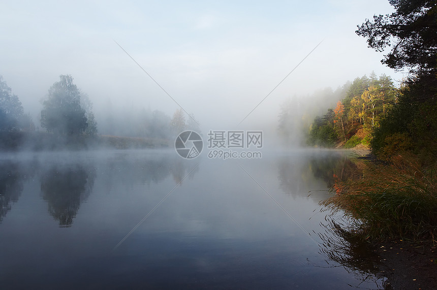 上午雾森林反射秋色桦木溪流阴霾保护区支撑图片