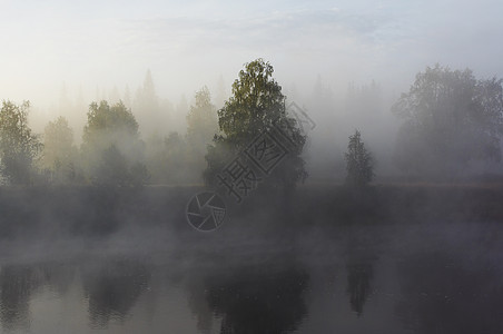 上午雾桦木溪流保护区反射森林薄雾秋色图片