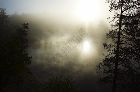 上午雾反射溪流森林图片
