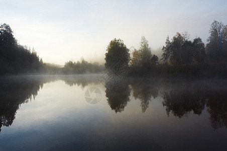 上午雾风景和平森林反射薄雾桦木溪流图片