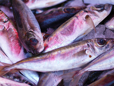 鲜鱼食物摊位营养市场海鲜展示背景图片
