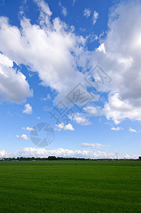 绿草地蓝色乡村场地风景环境绿色牧场草原农村图片