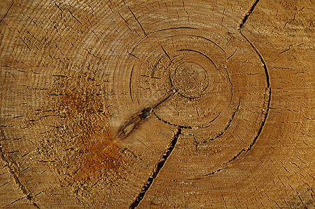 木木纹理木材工艺工作工业刀刃雕刻木工厘米劳动木匠图片
