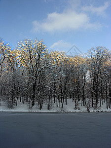 冰冻湖旅行季节游客小路木头国家场景森林雪景风景图片