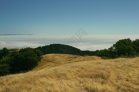 塔马尔派山地标全景森林游客海洋顶峰爬坡公园红木地区性图片
