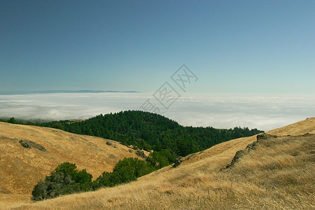 塔马尔派山地区性植物群海岸公园爬坡海洋地标森林全景风景图片