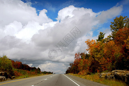 秋季高速公路天空树木农村地平线旅行蓝色运动运输汽车森林图片