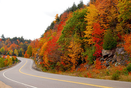 秋季高速公路农村爬坡丘陵汽车公园森林曲线沥青国家山脉图片