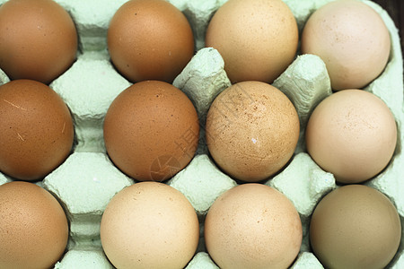 新鲜 自由幅度鸡蛋食谱文化棕色早餐范围免费蛋盒绿色家禽食物图片