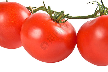 红番茄食物团体皮肤食欲节食养分小吃藤蔓圆圈精神食粮图片