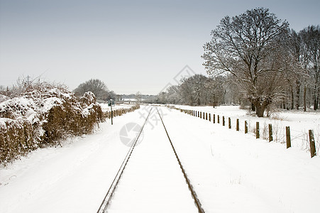 白蓝天空的雪雪铁轨铁路风景蓝色季节森林图片
