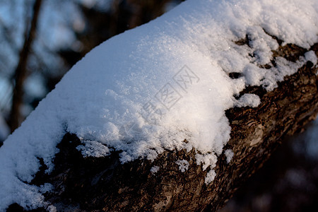 雪雪球季节对角线黑色棕色阳光晴天白色雪堆偏见阴影图片