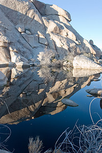 巴克大坝远足野生动物植物公园巨石花园森林衬套丘陵短叶图片