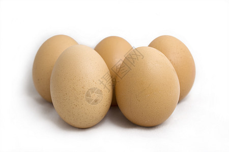 蛋食物奶制品小鸡团体棕色农场早餐蛋壳白色杂货图片