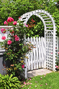 花园中的白色arbor凉棚财产花朵住宅后院乔木国家栅栏房子凉亭图片